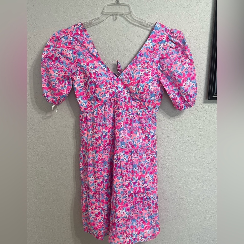 Lilly Pulitzer Vibrant Pink Floral Midi Dress
Caja 4 - Picture 6 of 7